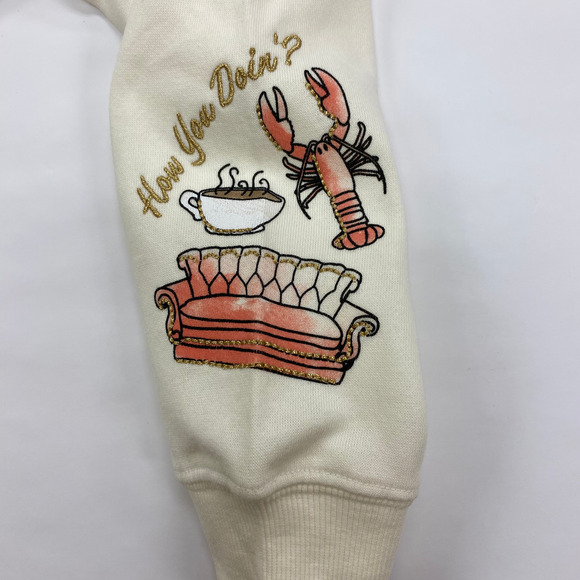 FRIENDS Size XS Hoodie The One with Friends Long Sleeve Pull Over NEW - Picture 3 of 8